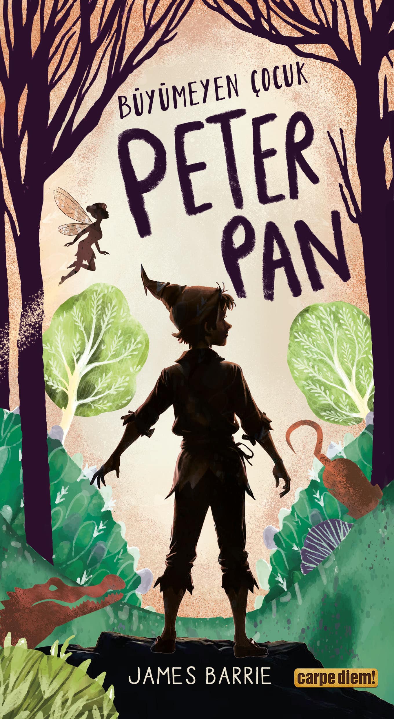 Büyümeyen Çocuk Peter Pan 1