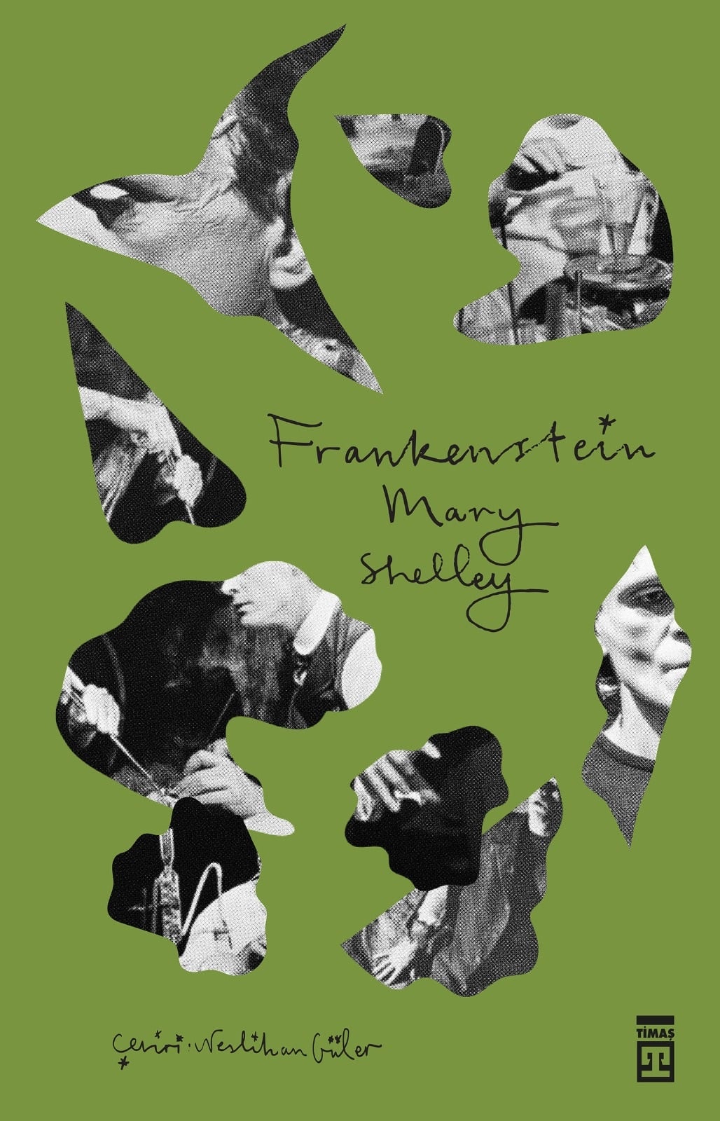 Frankenstein 1