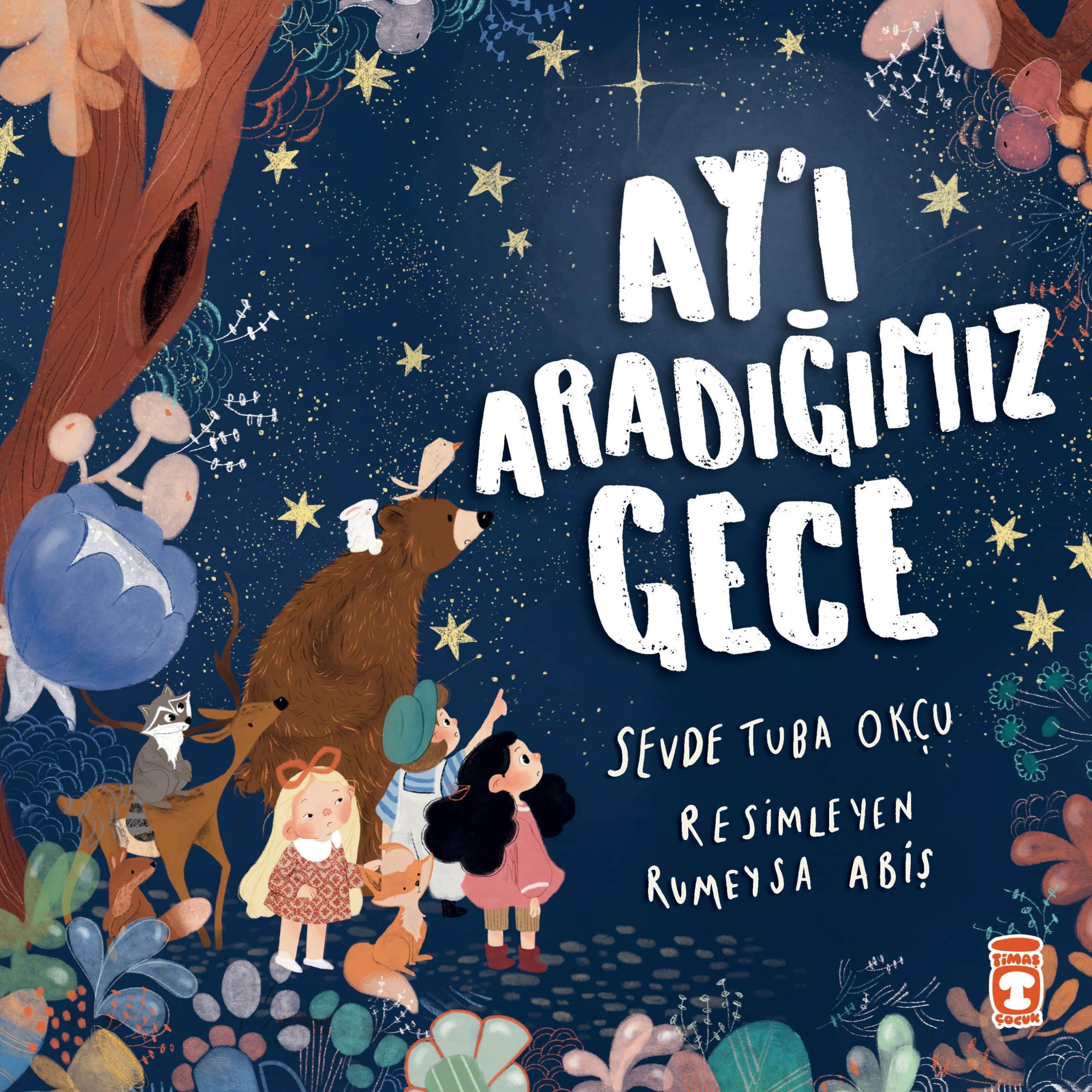 Ay’ı Aradığımız Gece 1