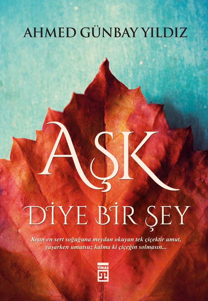 Aşk Diye Bir Şey 1