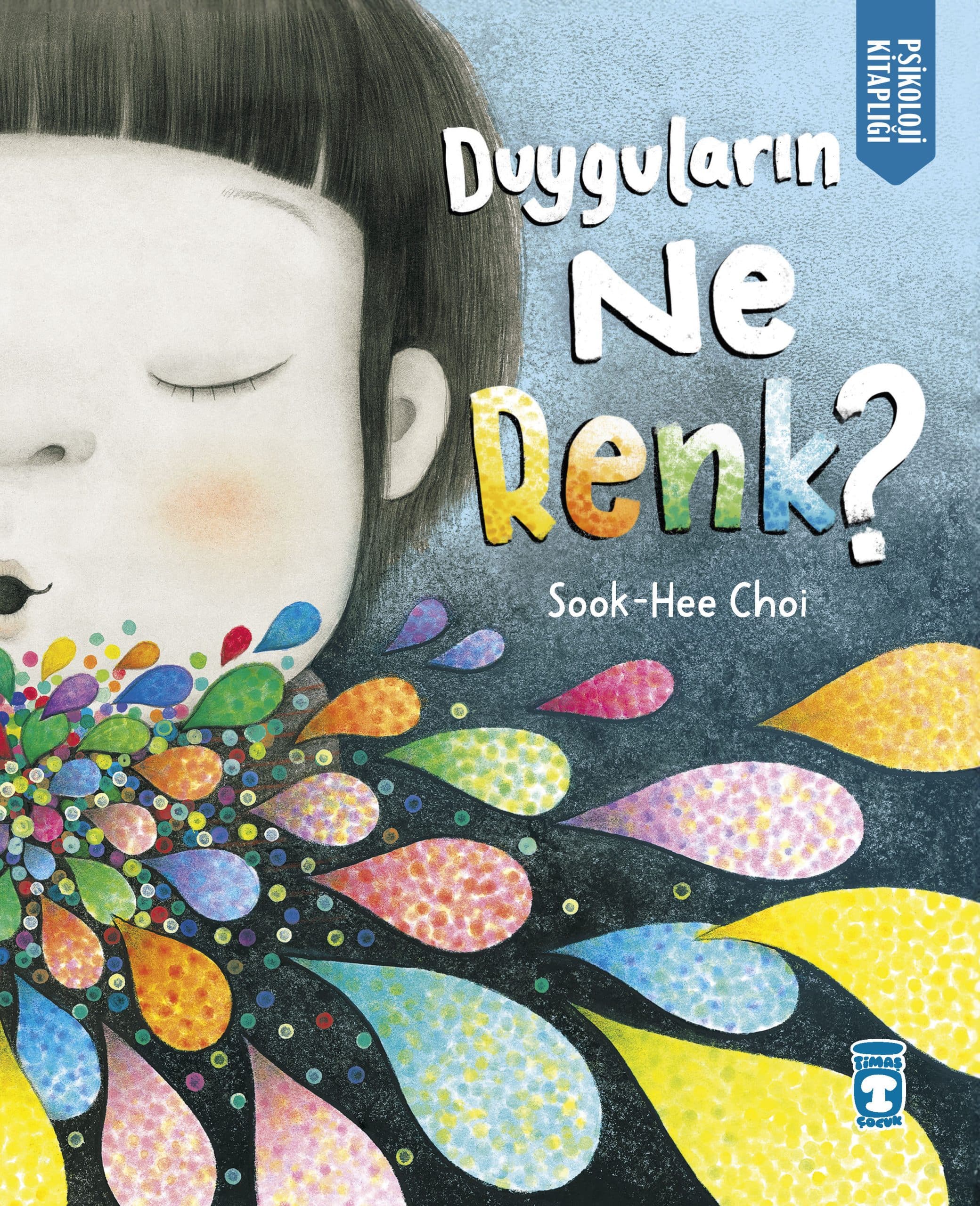 Duyguların Ne Renk? (Ciltli) 1