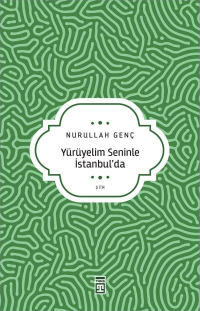 Yürüyelim Seninle İstanbulda