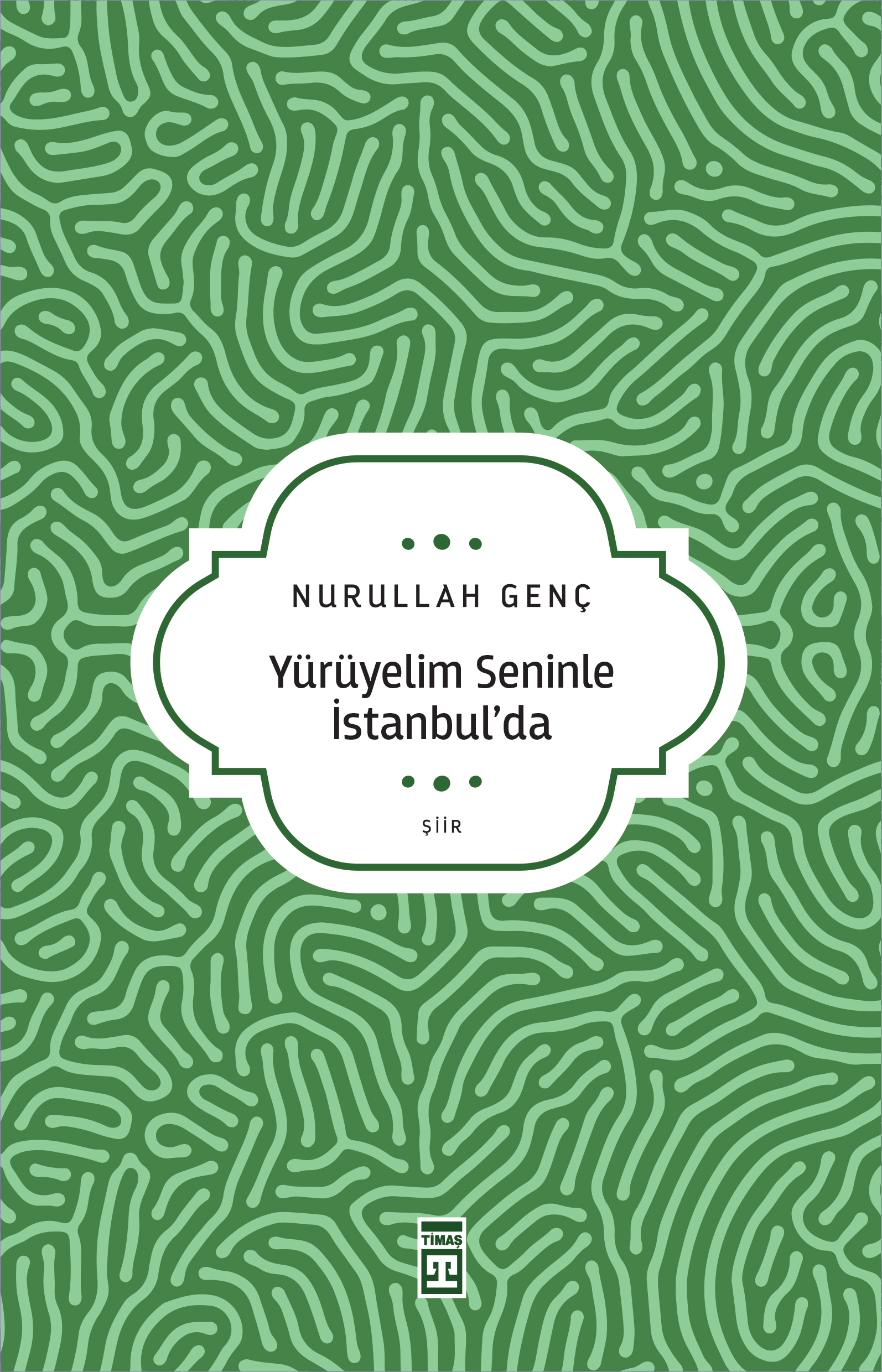 Yürüyelim Seninle İstanbulda 1