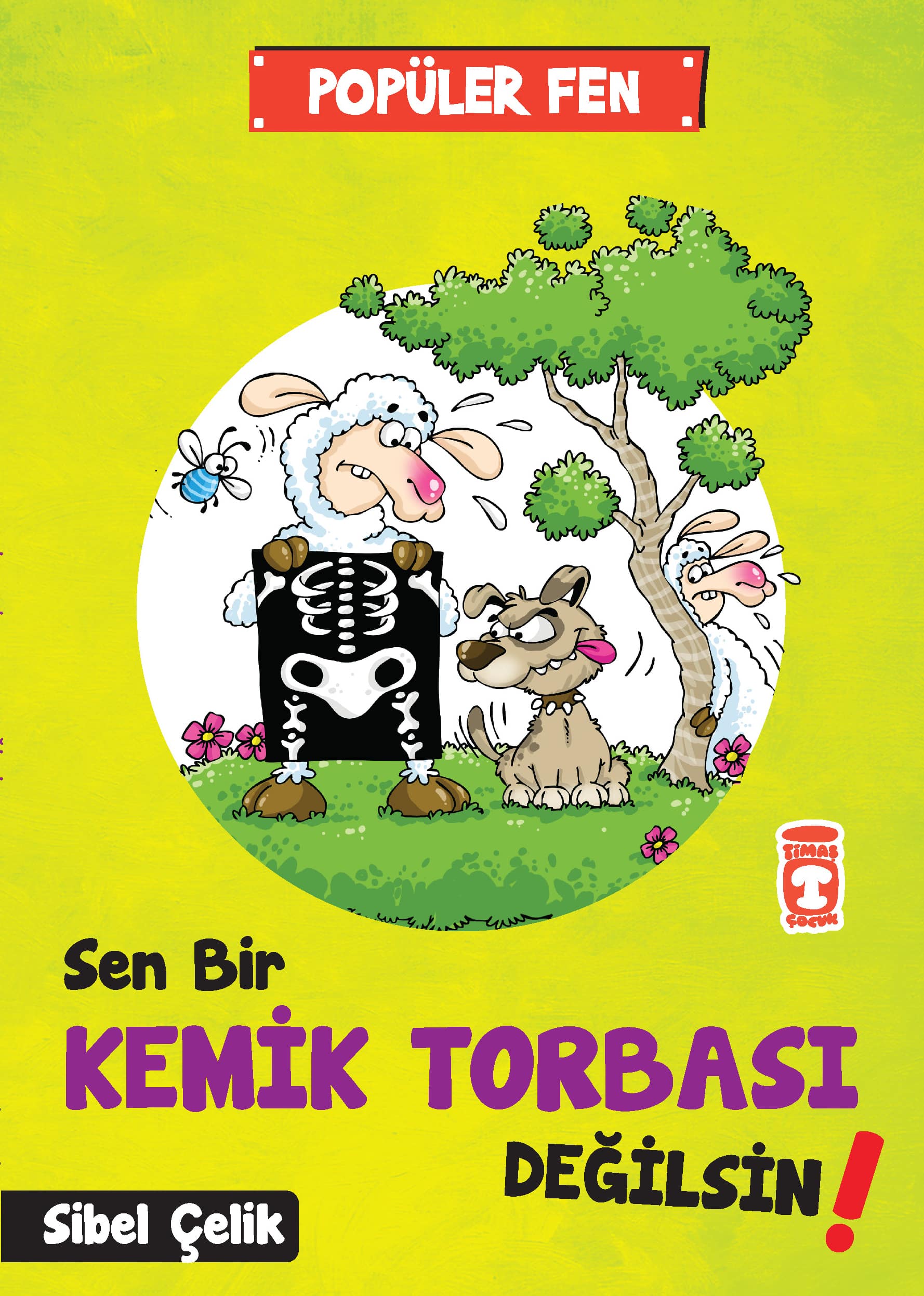 Sen Bir Kemik Torbası Değilsin! – Popüler Fen 1