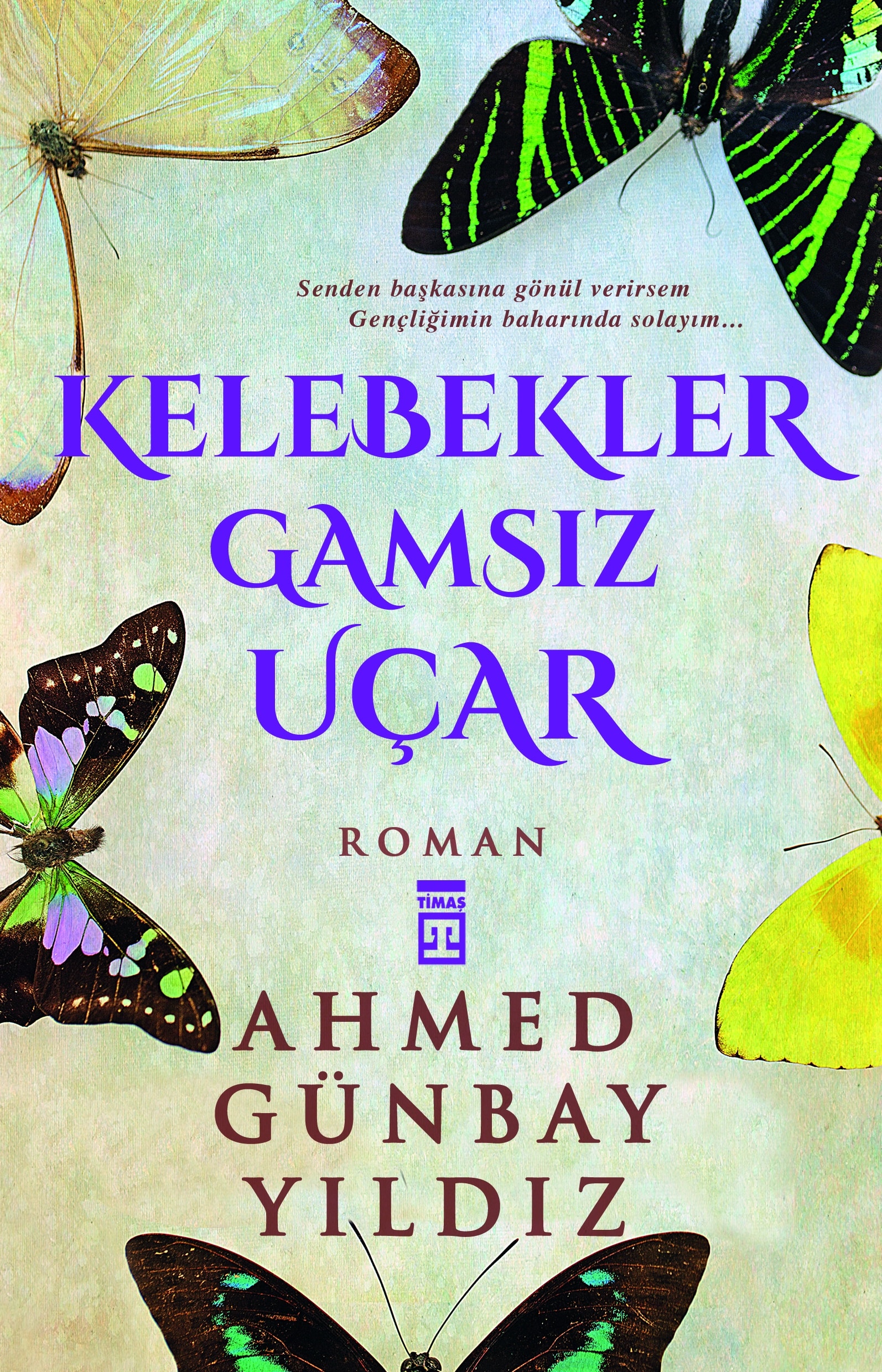 Kelebekler Gamsız Uçar 1