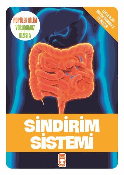 Sindirim Sistemi – Popüler Bilim Vücudumuz Dizisi 5 1