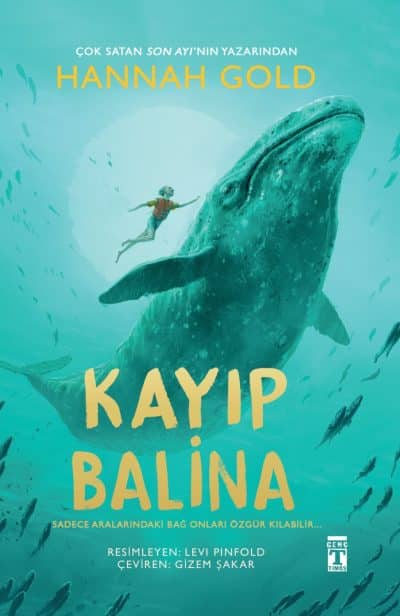 Kayıp Balina