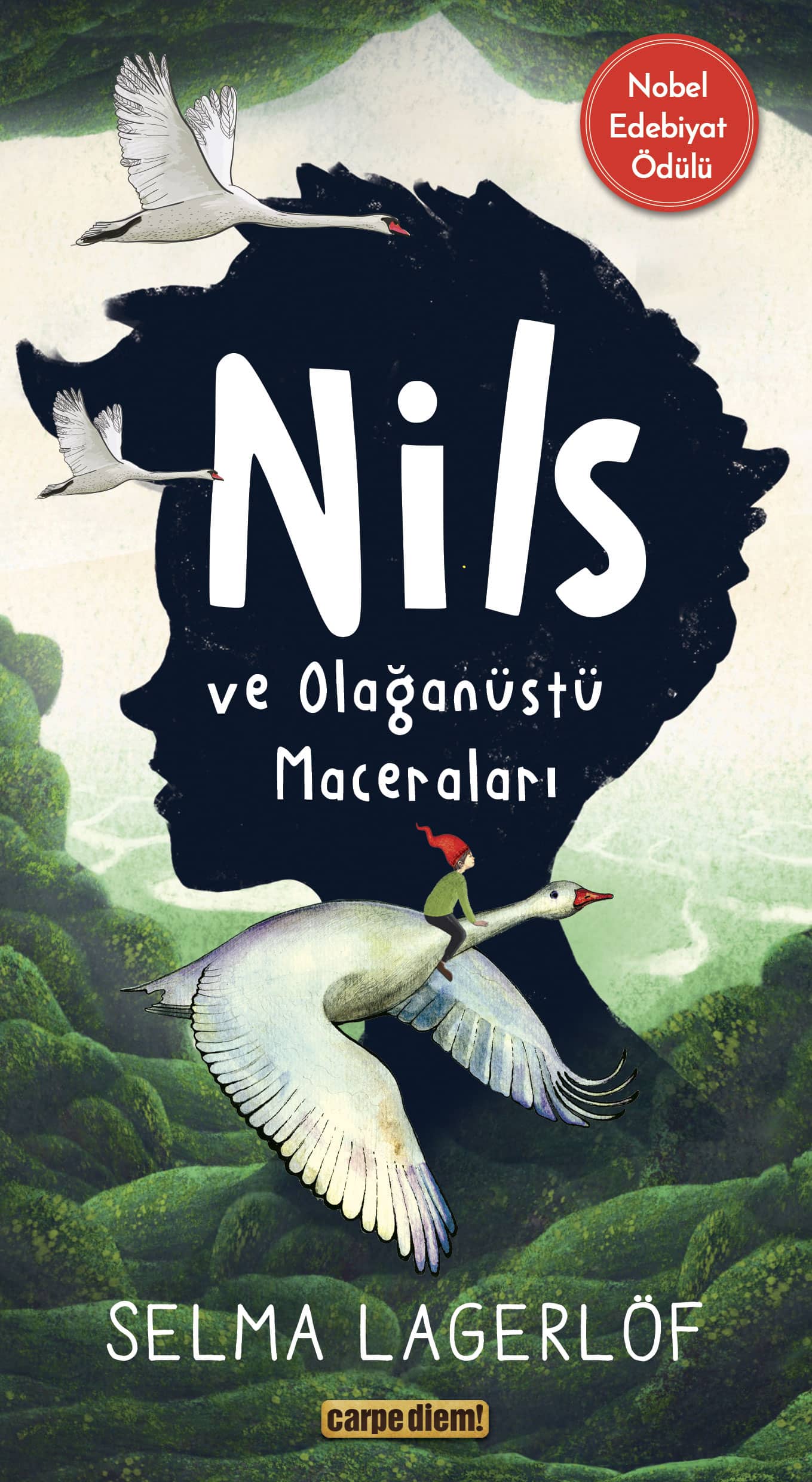 Nils ve Olağanüstü Maceraları 1