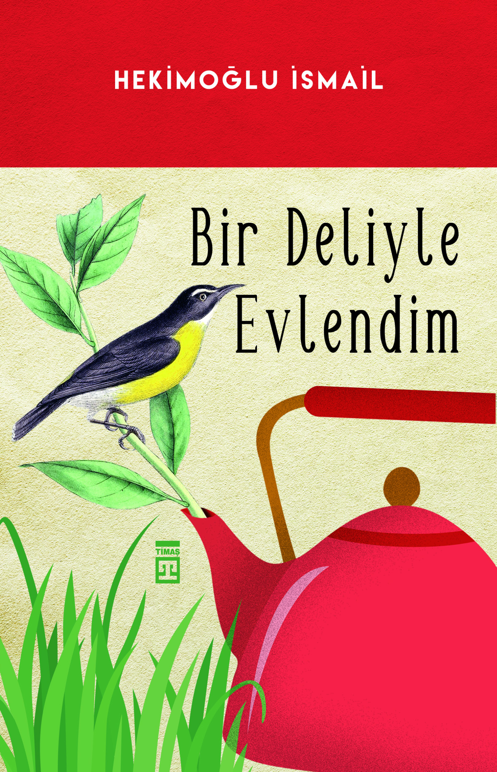 Bir Deliyle Evlendim 1