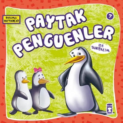 Paytak Penguenler İle Tanışalım - Sevimli Hayvanlar