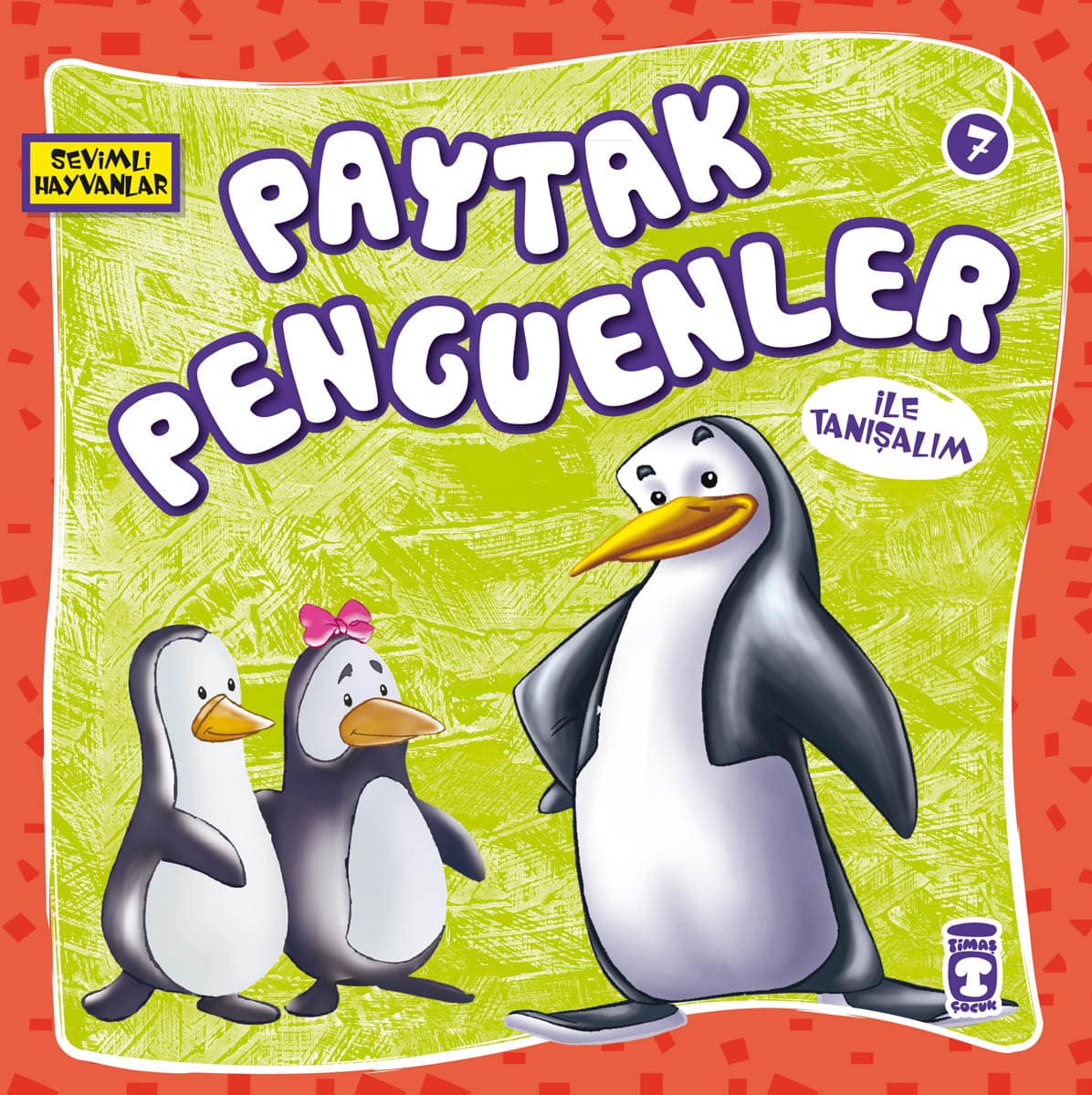 Paytak Penguenler İle Tanışalım – Sevimli Hayvanlar 1