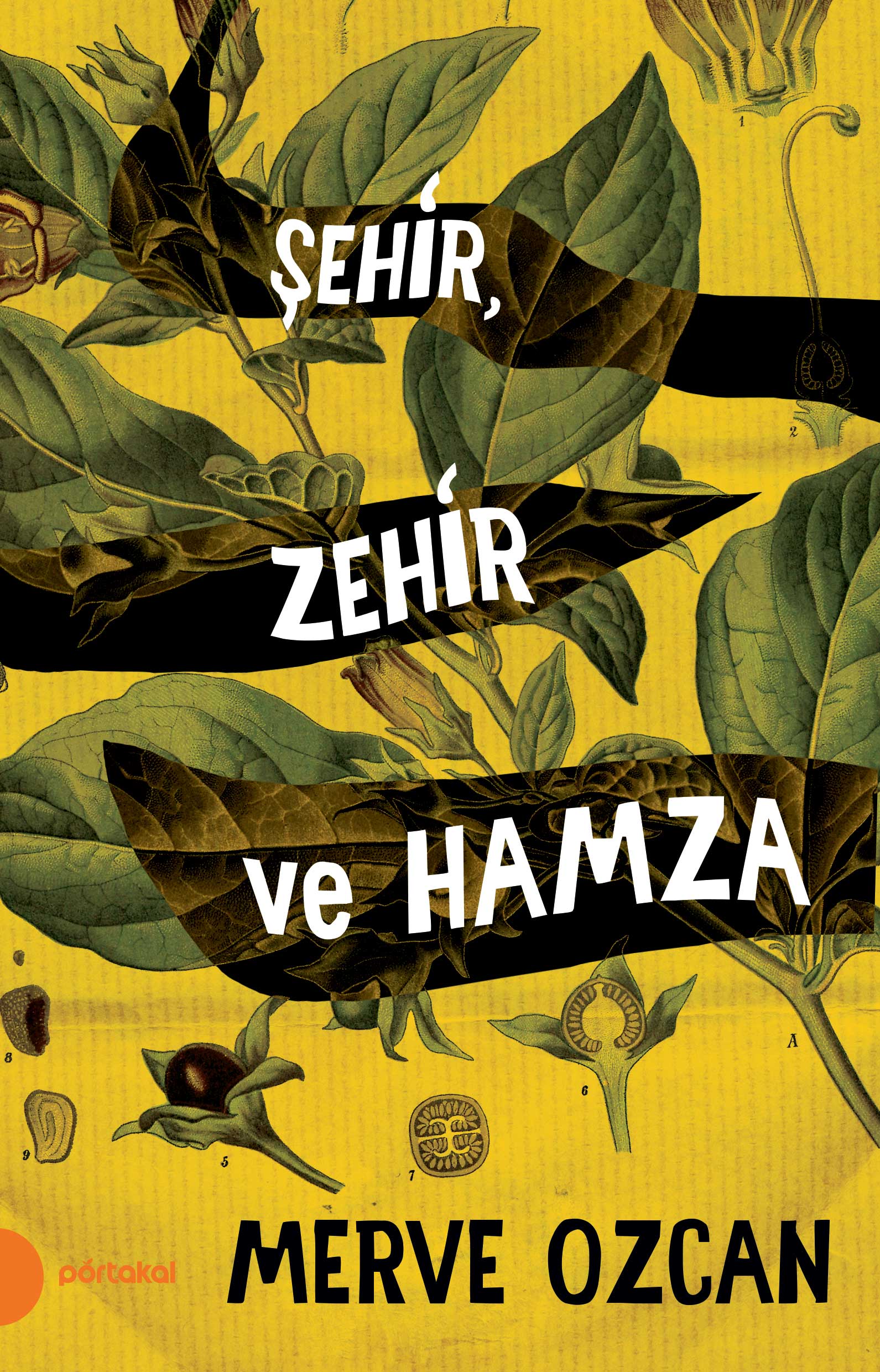 Şehir, Zehir ve Hamza