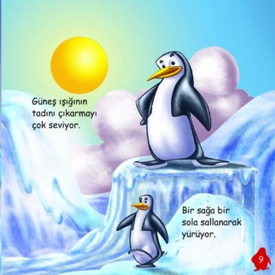 Paytak Penguenler İle Tanışalım - Sevimli Hayvanlar