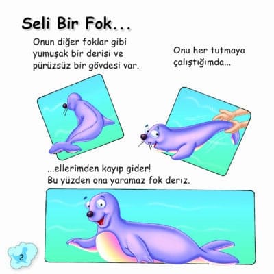 Şirin Foklar İle Tanışalım - Sevimli Hayvanlar