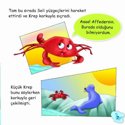 Şirin Foklar İle Tanışalım - Sevimli Hayvanlar