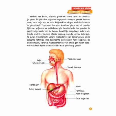 Sindirim Sistemi - Popüler Bilim Vücudumuz Dizisi 5