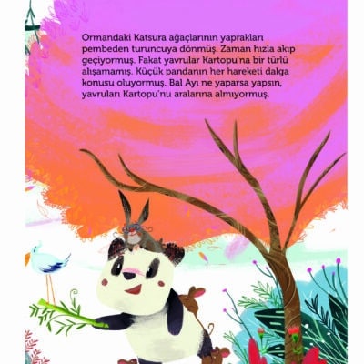 Kartopu Panda (Ciltli)