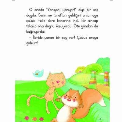 Gezgin Kedi Mırnav Uçan Balonda - Mırnav İlk Okuma Kitaplarım