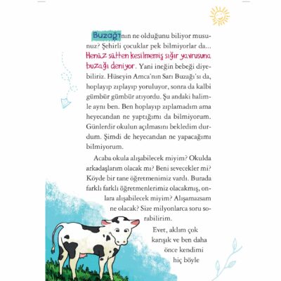 Aliş'in Kent Günlükleri - Set (4 Kitap)