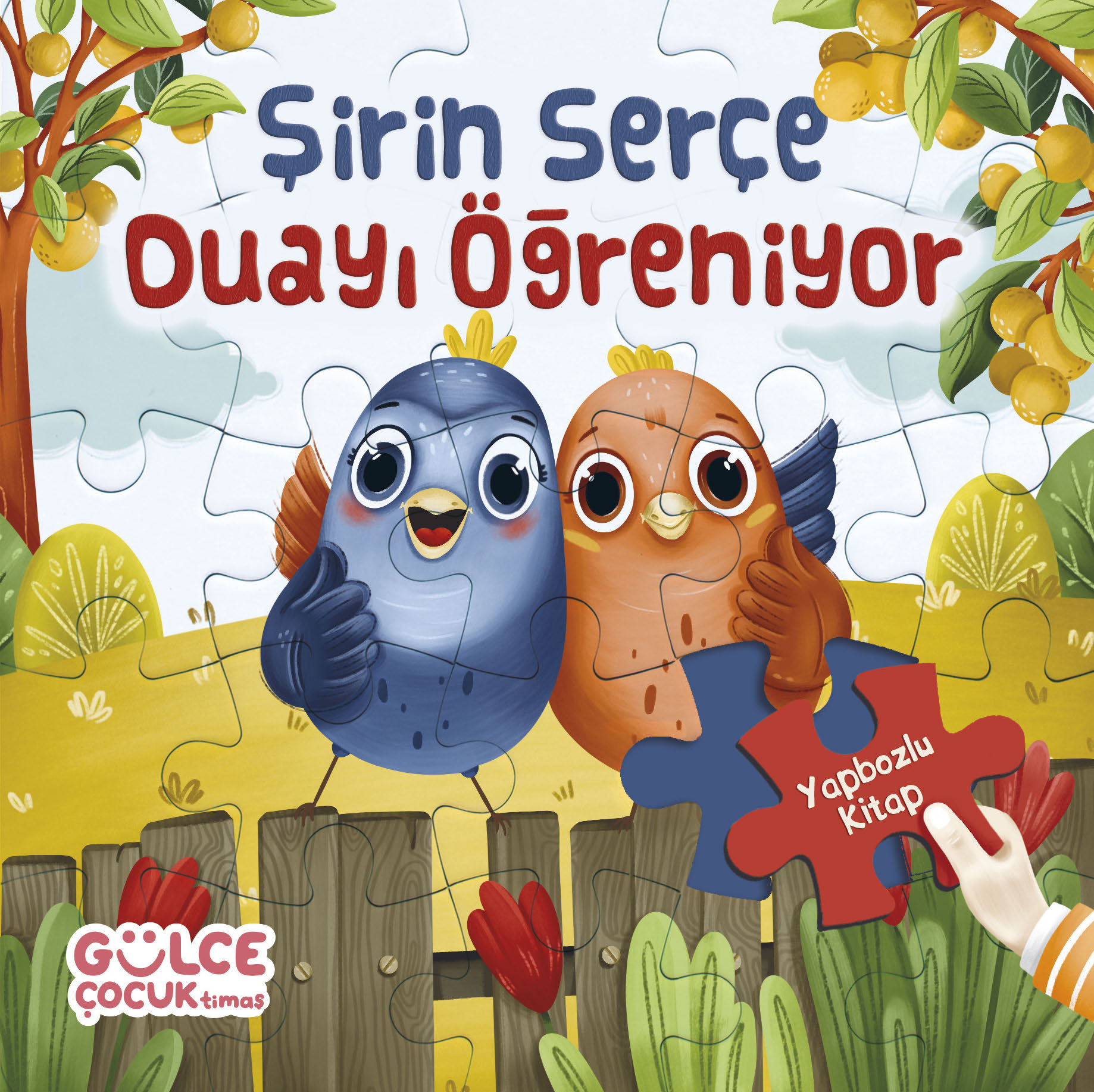 Şirin Serçe Duayı Öğreniyor / Yapbozlu Kitap