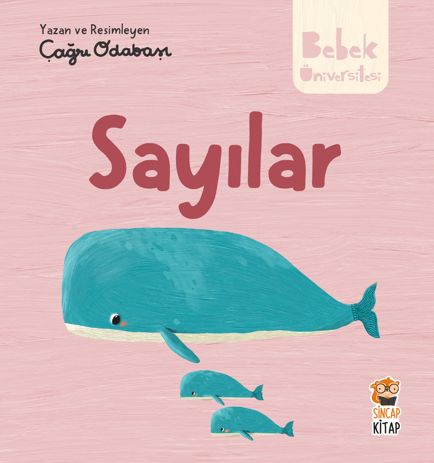 Kitap Kurdu Olmak İstemeyen Maya