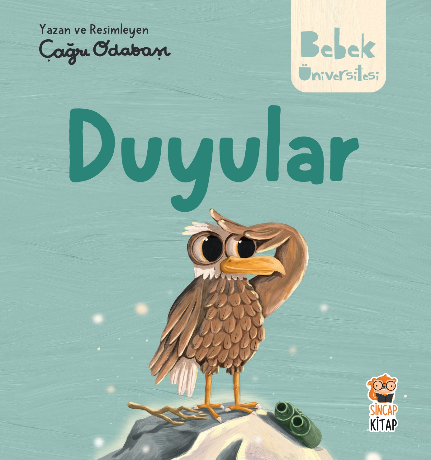 Bak- Bul- Sobe Gezgin Ayıcık