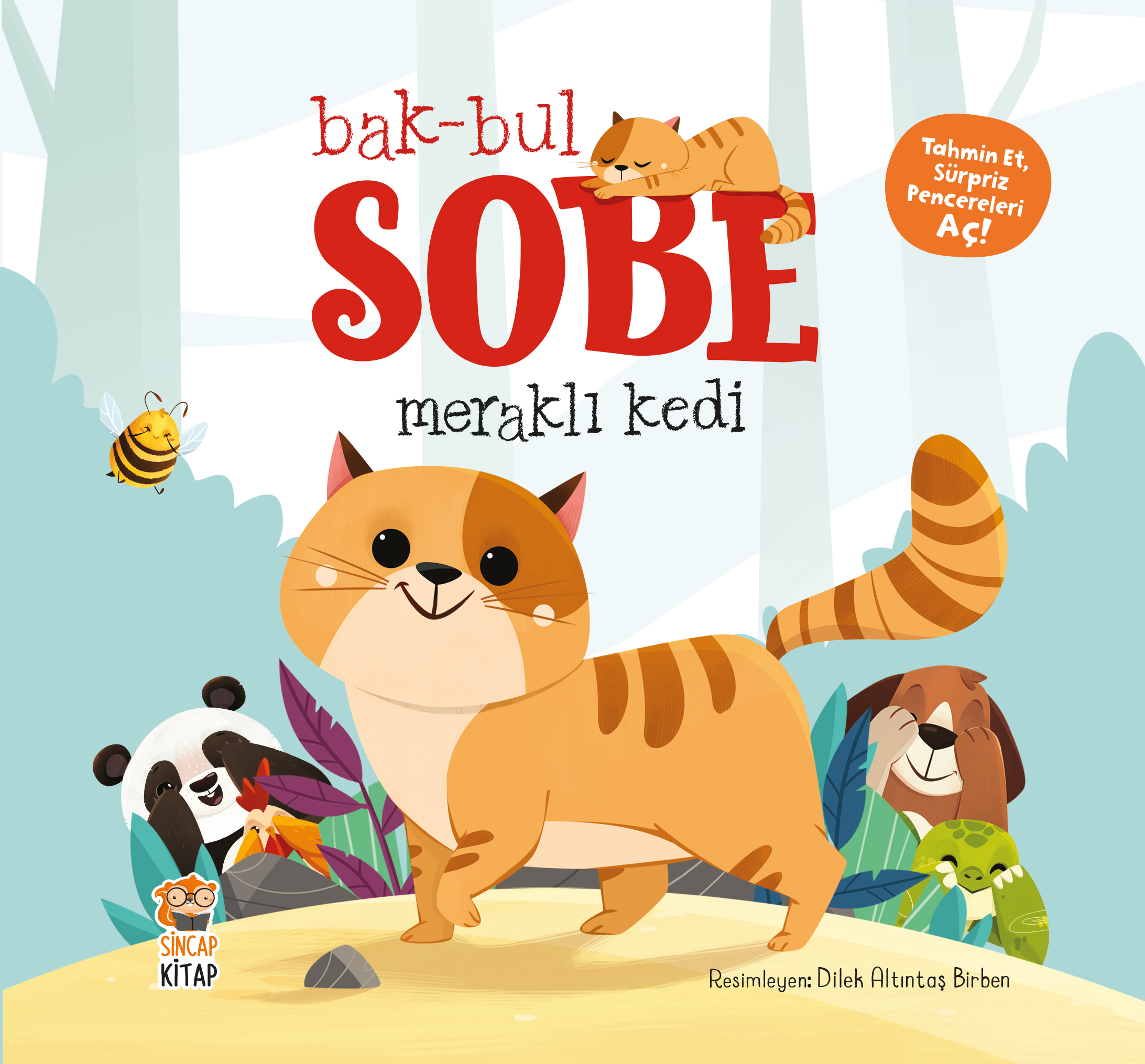 Bak-Bul-Sobe Meraklı Kedi